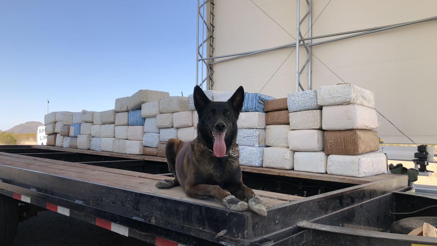 Ajo station Border Patrol agents seize $700,000 worth of marijuana from trailer